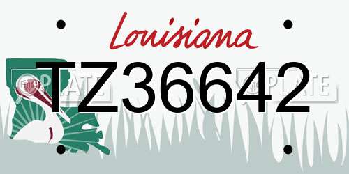 TZ36642 Louisiana License Plate