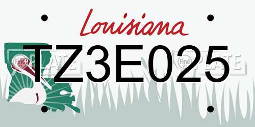 TZ3E025 Louisiana License Plate