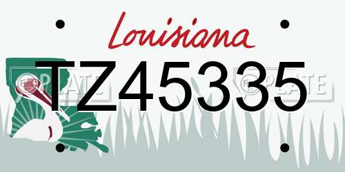 TZ45335 Louisiana License Plate