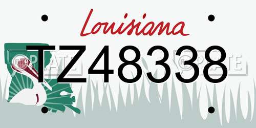 TZ48338 Louisiana License Plate
