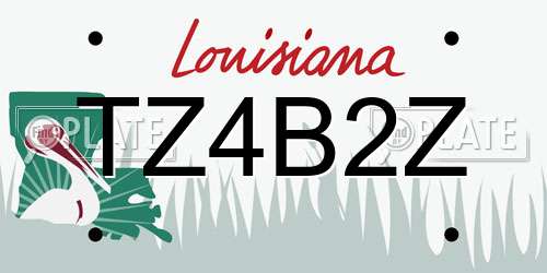 TZ4B2Z Louisiana License Plate