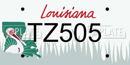 TZ505 Louisiana License Plate
