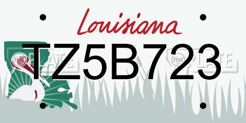 TZ5B723 Louisiana License Plate
