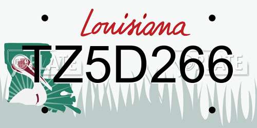 TZ5D266 Louisiana License Plate