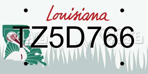 TZ5D766 Louisiana License Plate