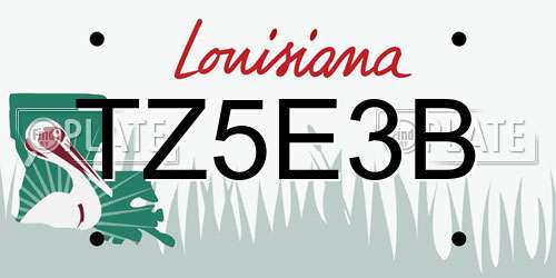 TZ5E3B Louisiana License Plate