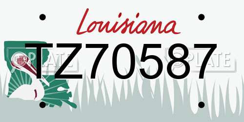 TZ70587 Louisiana License Plate