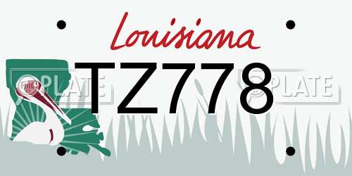 TZ778 Louisiana License Plate