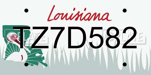 TZ7D582 Louisiana License Plate