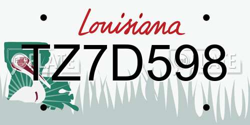 TZ7D598 Louisiana License Plate