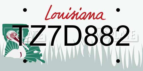 TZ7D882 Louisiana License Plate