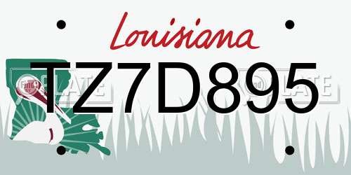 TZ7D895 Louisiana License Plate