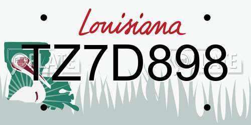 TZ7D898 Louisiana License Plate