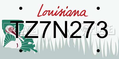 TZ7N273 Louisiana License Plate