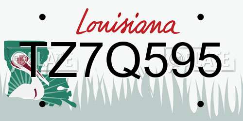 TZ7Q595 Louisiana License Plate