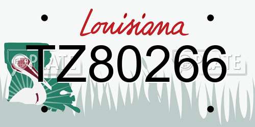 TZ80266 Louisiana License Plate