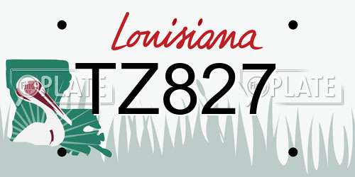 TZ827 Louisiana License Plate