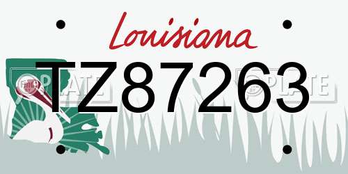 TZ87263 Louisiana License Plate