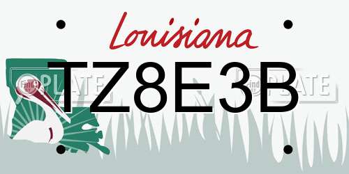TZ8E3B Louisiana License Plate