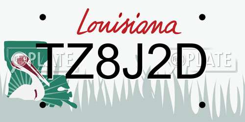 TZ8J2D Louisiana License Plate