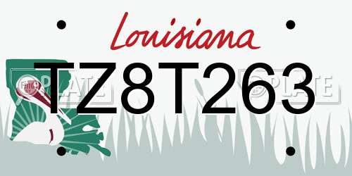 TZ8T263 Louisiana License Plate