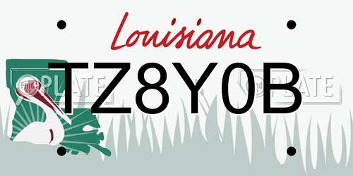 TZ8Y0B Louisiana License Plate
