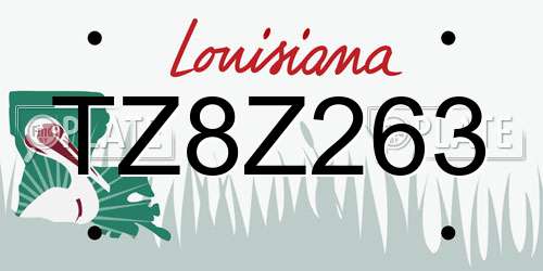 TZ8Z263 Louisiana License Plate