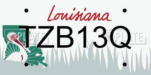 TZB13Q Louisiana License Plate