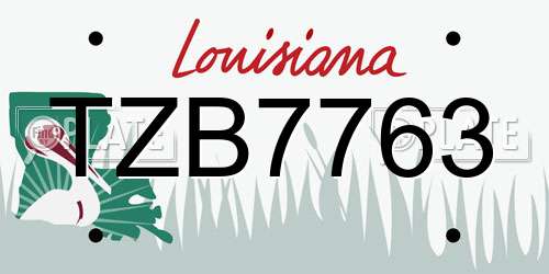TZB7763 Louisiana License Plate