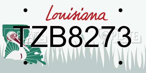 TZB8273 Louisiana License Plate