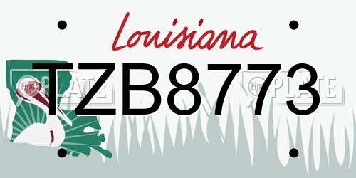 TZB8773 Louisiana License Plate