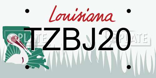 TZBJ20 Louisiana License Plate