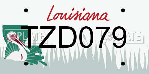 TZD079 Louisiana License Plate