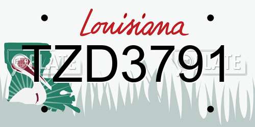 TZD3791 Louisiana License Plate