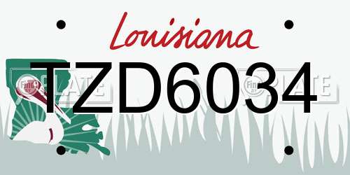 TZD6034 Louisiana License Plate