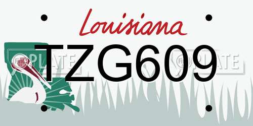 TZG609 Louisiana License Plate