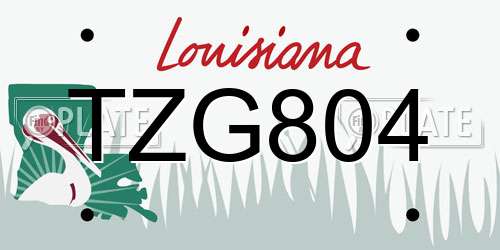 TZG804 Louisiana License Plate