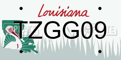 TZGG09 Louisiana License Plate