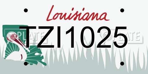 TZI1025 Louisiana License Plate