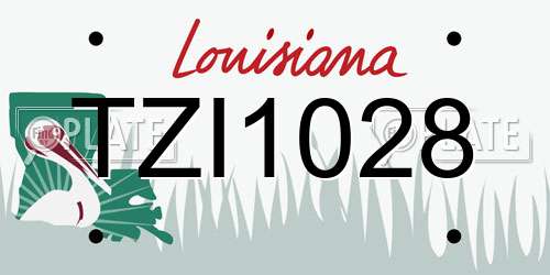 TZI1028 Louisiana License Plate