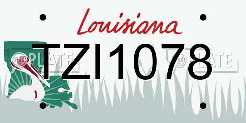 TZI1078 Louisiana License Plate