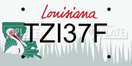 TZI37F Louisiana License Plate
