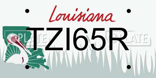 TZI65R Louisiana License Plate