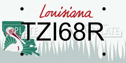 TZI68R Louisiana License Plate
