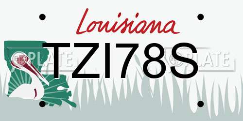 TZI78S Louisiana License Plate