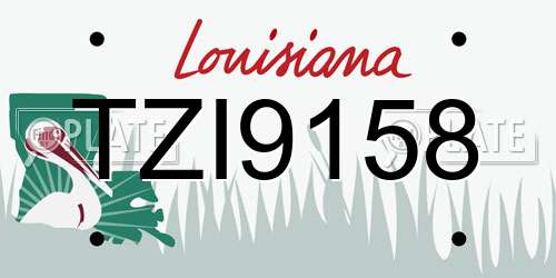 TZI9158 Louisiana License Plate