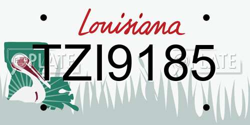 TZI9185 Louisiana License Plate