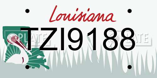 TZI9188 Louisiana License Plate