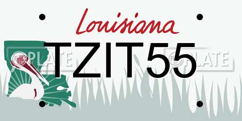 TZIT55 Louisiana License Plate