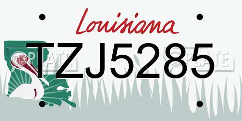 TZJ5285 Louisiana License Plate